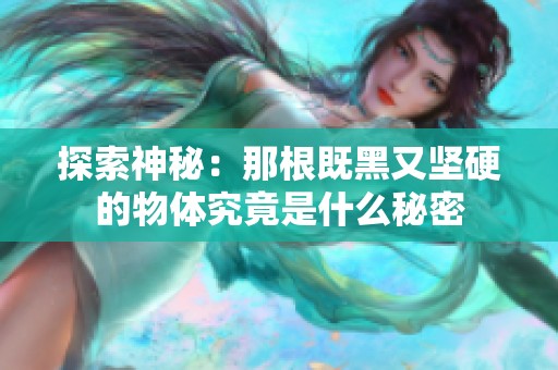 探索神秘：那根既黑又坚硬的物体究竟是什么秘密
