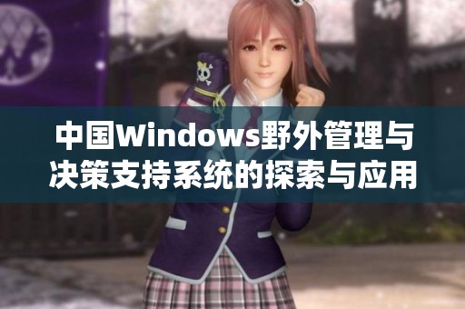 中国Windows野外管理与决策支持系统的探索与应用分析