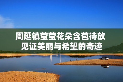 周延镇莹莹花朵含苞待放 见证美丽与希望的奇迹