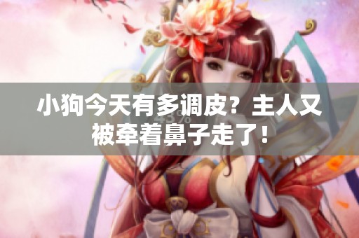 小狗今天有多调皮？主人又被牵着鼻子走了！