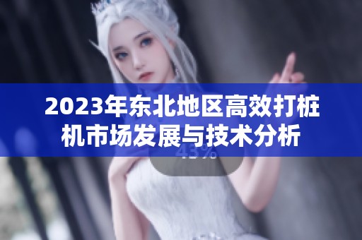 2023年东北地区高效打桩机市场发展与技术分析