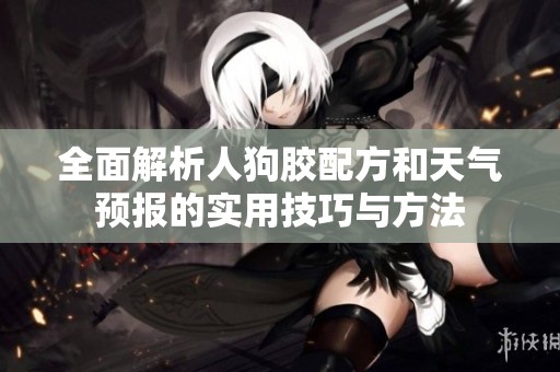 全面解析人狗胶配方和天气预报的实用技巧与方法