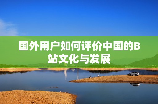 国外用户如何评价中国的B站文化与发展