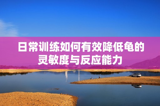 日常训练如何有效降低龟的灵敏度与反应能力