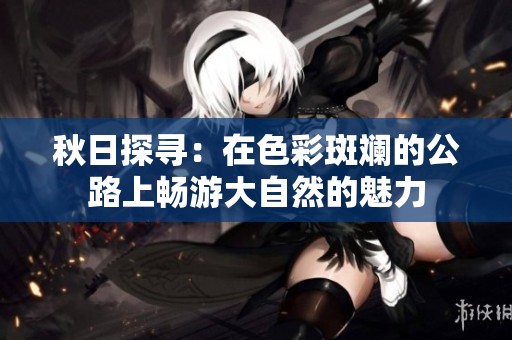 秋日探寻：在色彩斑斓的公路上畅游大自然的魅力