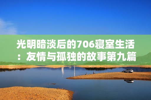 光明暗淡后的706寝室生活：友情与孤独的故事第九篇