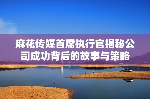 麻花传媒首席执行官揭秘公司成功背后的故事与策略