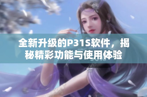 全新升级的P31S软件，揭秘精彩功能与使用体验
