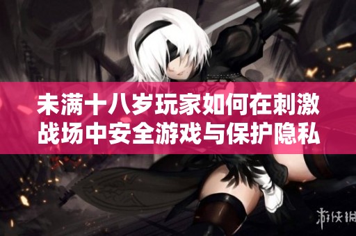 未满十八岁玩家如何在刺激战场中安全游戏与保护隐私