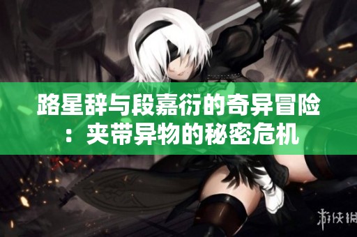 路星辞与段嘉衍的奇异冒险：夹带异物的秘密危机