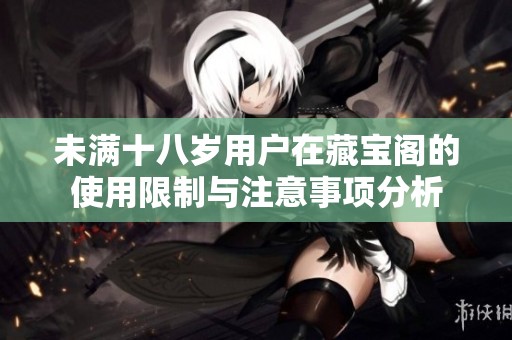 未满十八岁用户在藏宝阁的使用限制与注意事项分析
