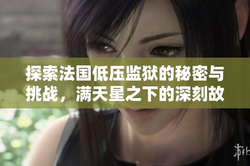 探索法国低压监狱的秘密与挑战，满天星之下的深刻故事
