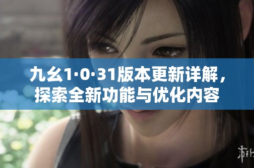 九幺1·0·31版本更新详解，探索全新功能与优化内容