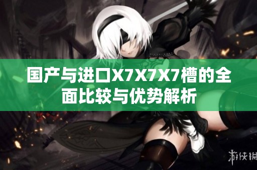 国产与进口X7X7X7槽的全面比较与优势解析