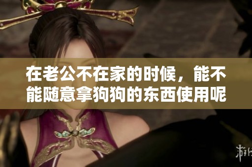 在老公不在家的时候，能不能随意拿狗狗的东西使用呢