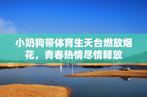 小奶狗带体育生天台燃放烟花，青春热情尽情释放