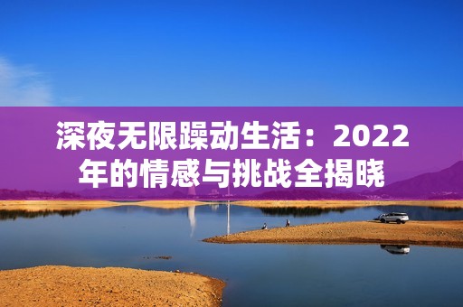 深夜无限躁动生活：2022年的情感与挑战全揭晓