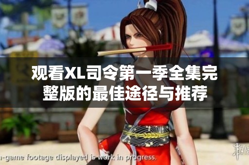 观看XL司令第一季全集完整版的最佳途径与推荐