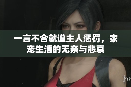 一言不合就遭主人惩罚，家宠生活的无奈与悲哀