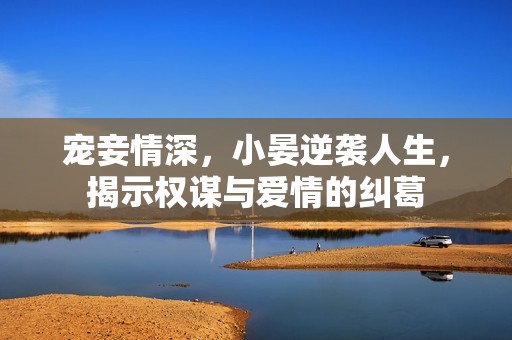 宠妾情深，小晏逆袭人生，揭示权谋与爱情的纠葛
