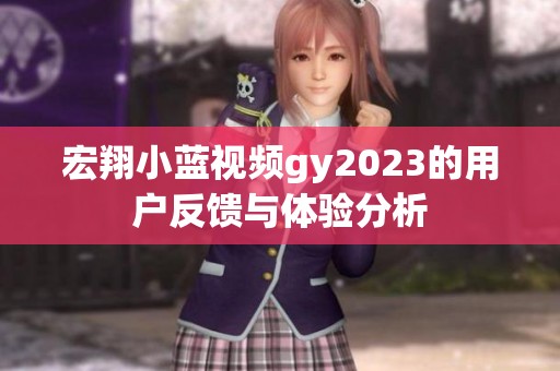 宏翔小蓝视频gy2023的用户反馈与体验分析