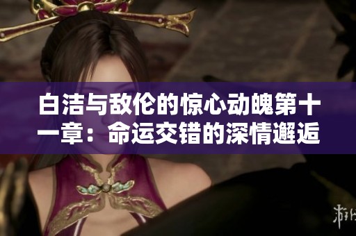 白洁与敌伦的惊心动魄第十一章：命运交错的深情邂逅
