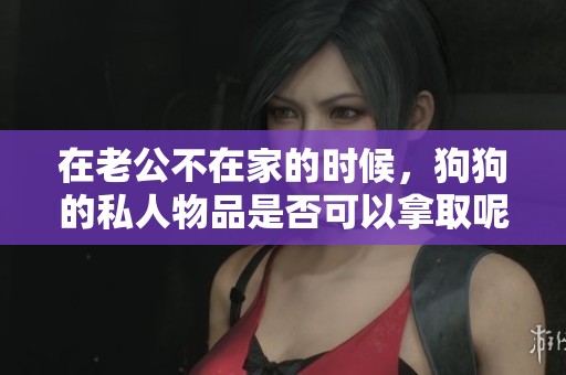 在老公不在家的时候，狗狗的私人物品是否可以拿取呢