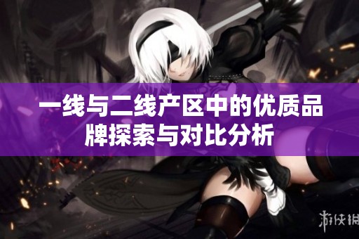 一线与二线产区中的优质品牌探索与对比分析