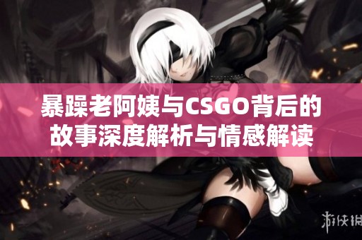 暴躁老阿姨与CSGO背后的故事深度解析与情感解读