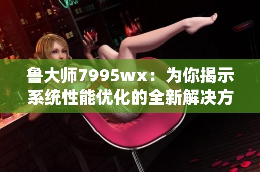 鲁大师7995wx：为你揭示系统性能优化的全新解决方案