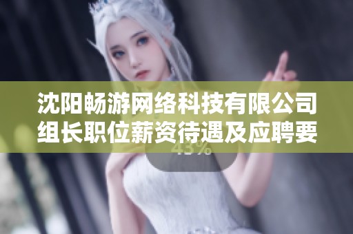 沈阳畅游网络科技有限公司组长职位薪资待遇及应聘要求分析