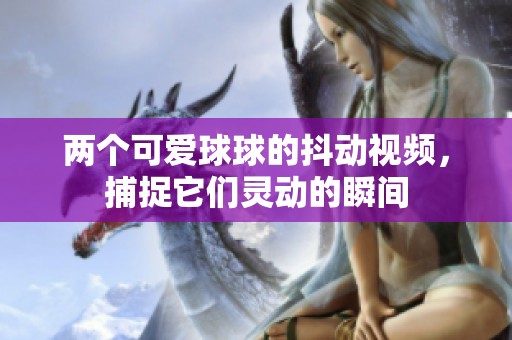两个可爱球球的抖动视频，捕捉它们灵动的瞬间