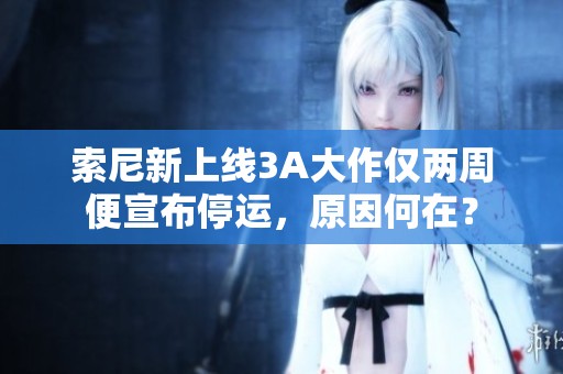 索尼新上线3A大作仅两周便宣布停运，原因何在？