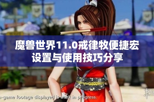 魔兽世界11.0戒律牧便捷宏设置与使用技巧分享