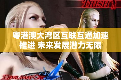 粤港澳大湾区互联互通加速推进 未来发展潜力无限