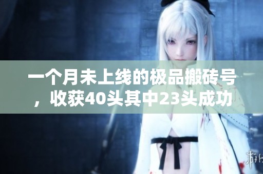 一个月未上线的极品搬砖号，收获40头其中23头成功六重