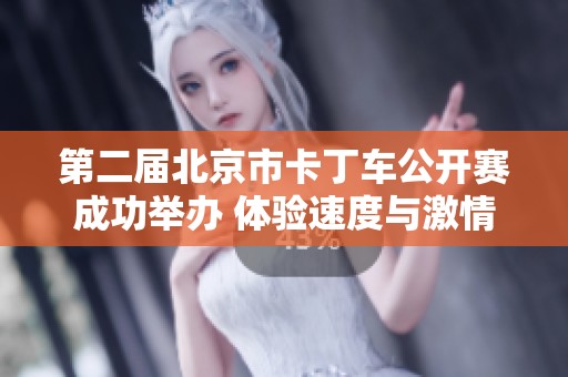第二届北京市卡丁车公开赛成功举办 体验速度与激情的精彩时刻
