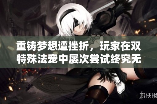 重铸梦想遭挫折，玩家在双特殊法宠中屡次尝试终究无果