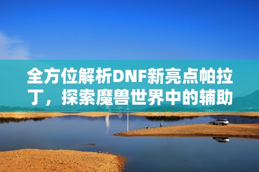 全方位解析DNF新亮点帕拉丁，探索魔兽世界中的辅助奇迹
