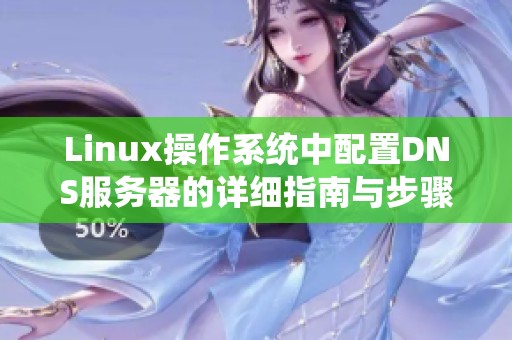 Linux操作系统中配置DNS服务器的详细指南与步骤解析