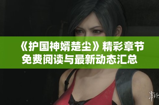 《护国神婿楚尘》精彩章节免费阅读与最新动态汇总