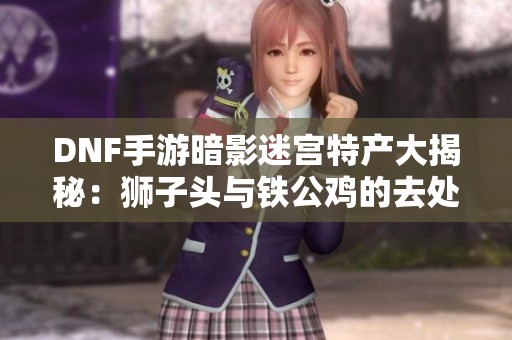 DNF手游暗影迷宫特产大揭秘：狮子头与铁公鸡的去处分析