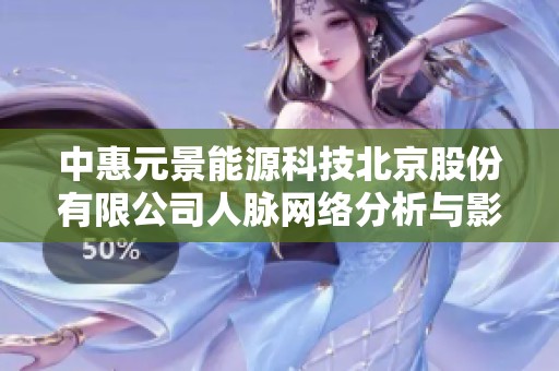 中惠元景能源科技北京股份有限公司人脉网络分析与影响力探讨
