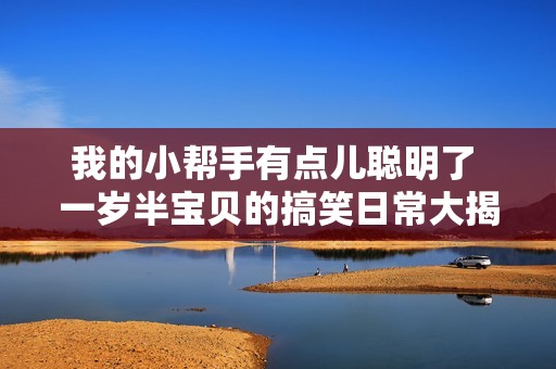 我的小帮手有点儿聪明了 一岁半宝贝的搞笑日常大揭秘