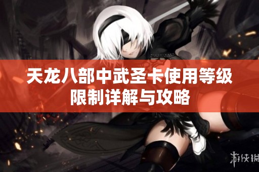 天龙八部中武圣卡使用等级限制详解与攻略