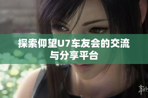 探索仰望U7车友会的交流与分享平台