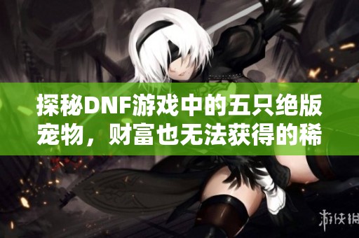 探秘DNF游戏中的五只绝版宠物，财富也无法获得的稀有珍品