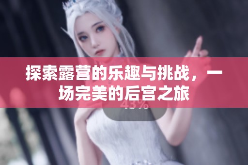 探索露营的乐趣与挑战，一场完美的后宫之旅