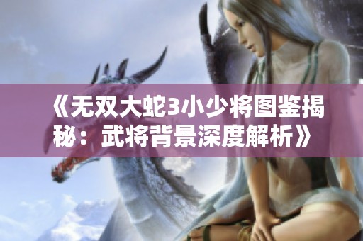 《无双大蛇3小少将图鉴揭秘：武将背景深度解析》