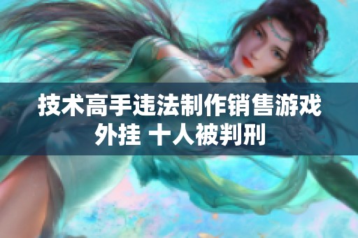 技术高手违法制作销售游戏外挂 十人被判刑